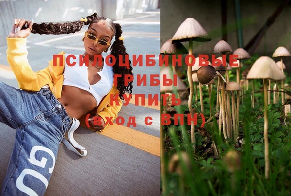 mdpv Гусиноозёрск