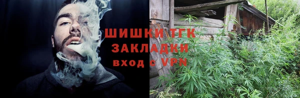 индика Вязники